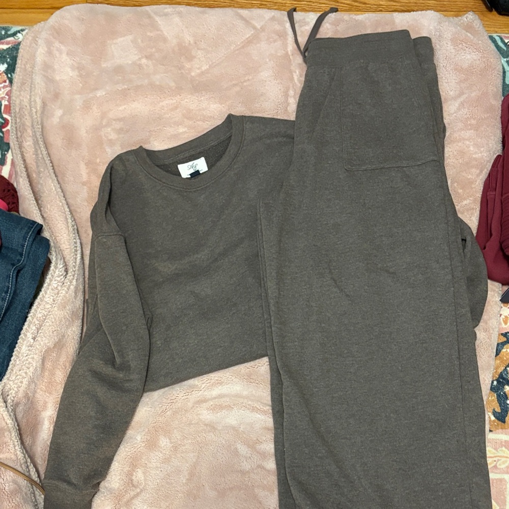 American Eagle Outfitters Brown Cropped Sweatshirt
